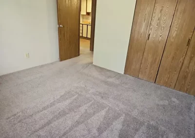 Professional House Cleaning