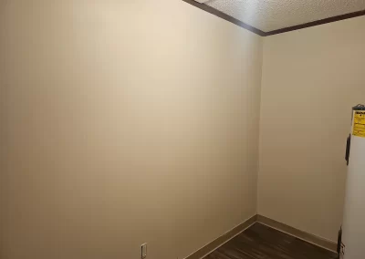 Expert Home Cleaning